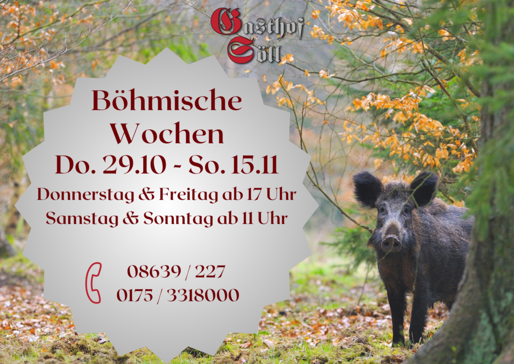 Böhmische Wochen | Böhmische Knödel